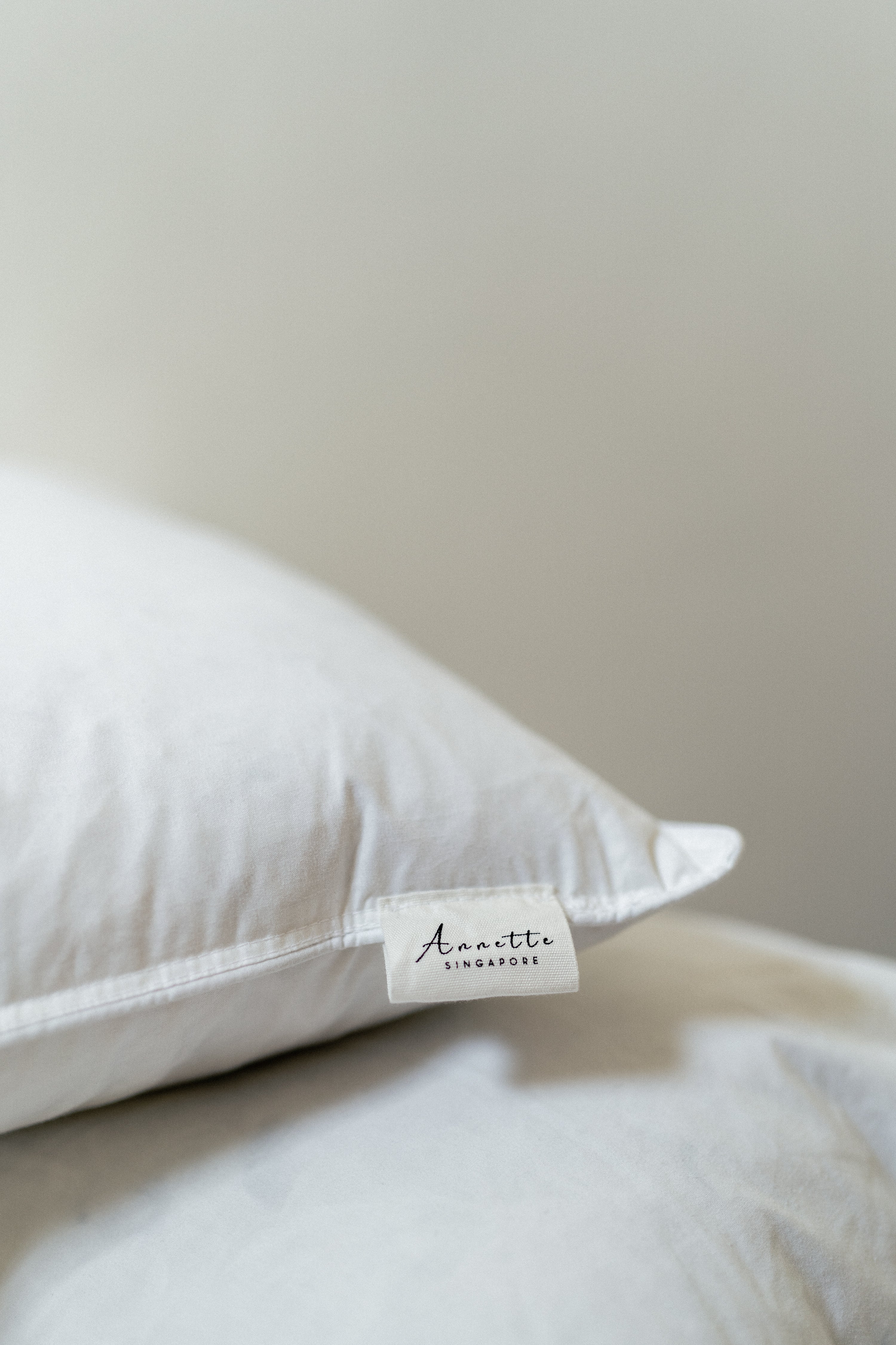 Cushion Insert | Lumbar