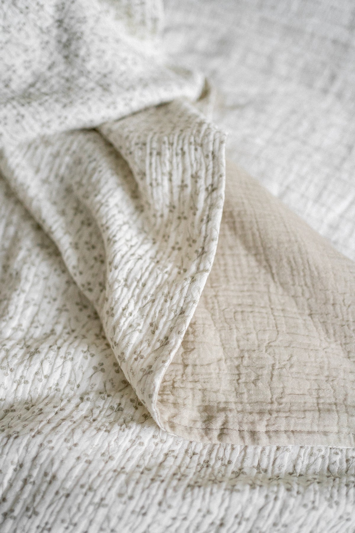 Organic Cotton Blanket | Dandelion