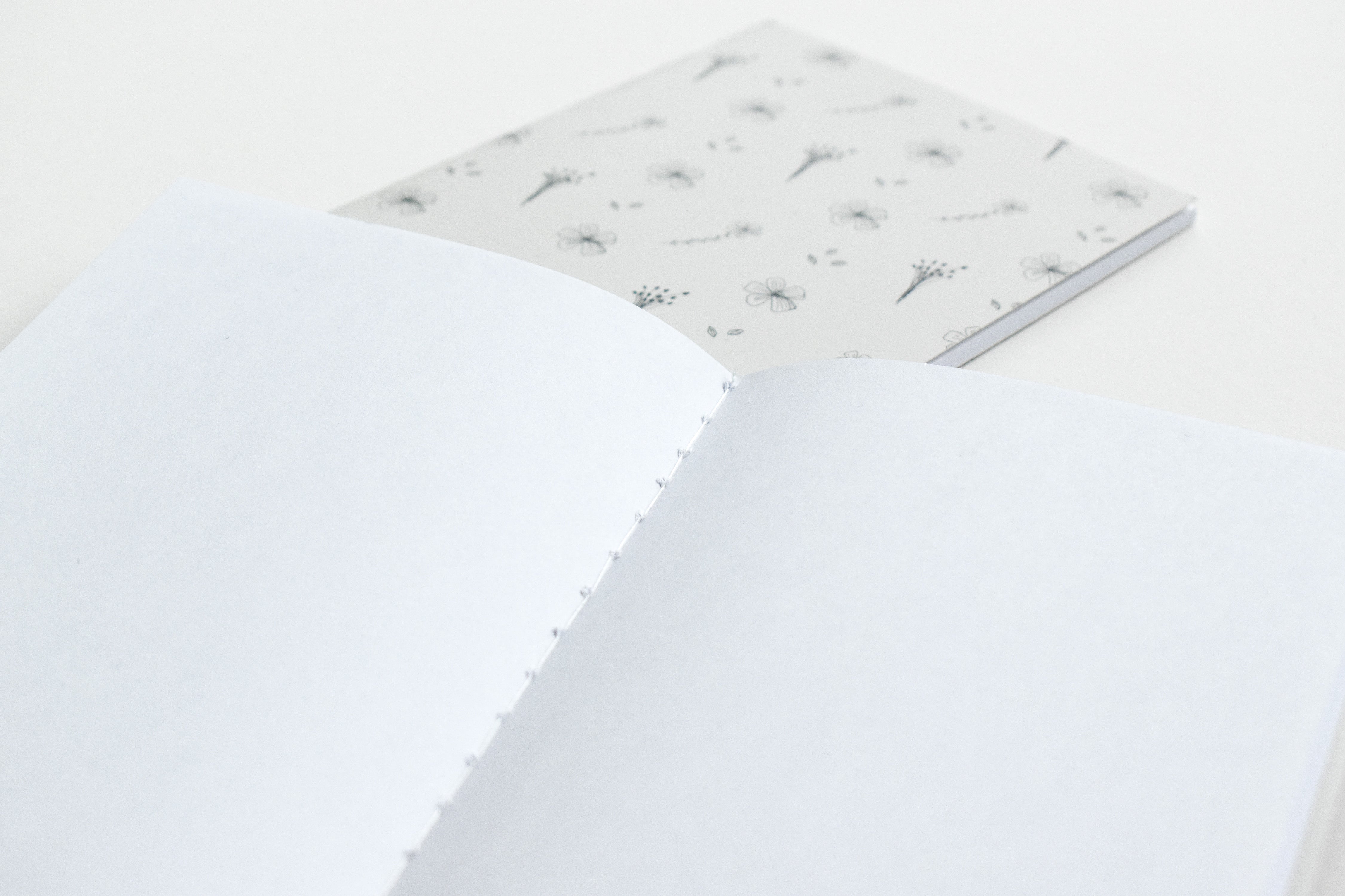 A6 Notebooks (Set of 2) | Flax Motifs