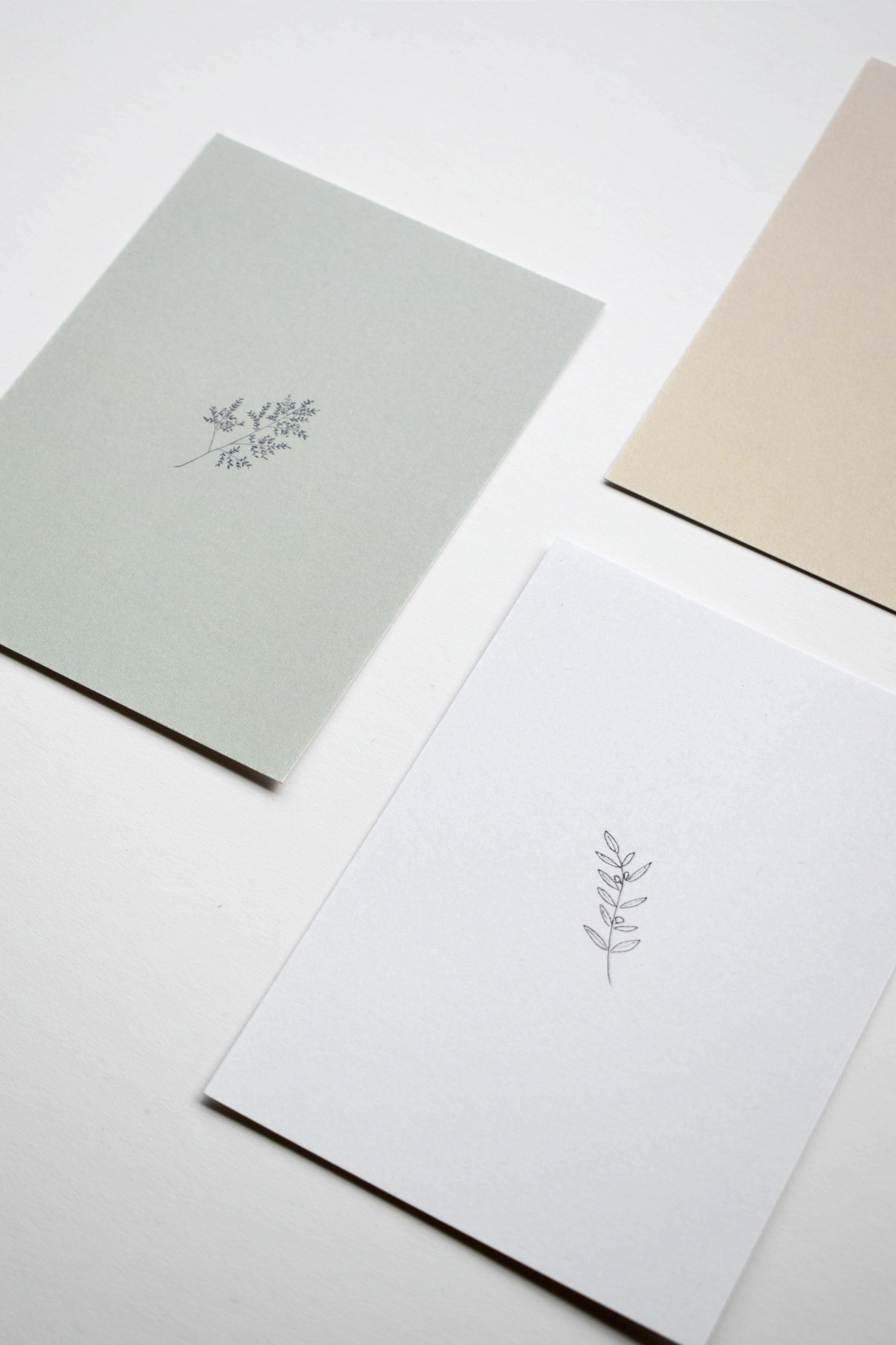 Botanical Card Prints (Set of 5)
