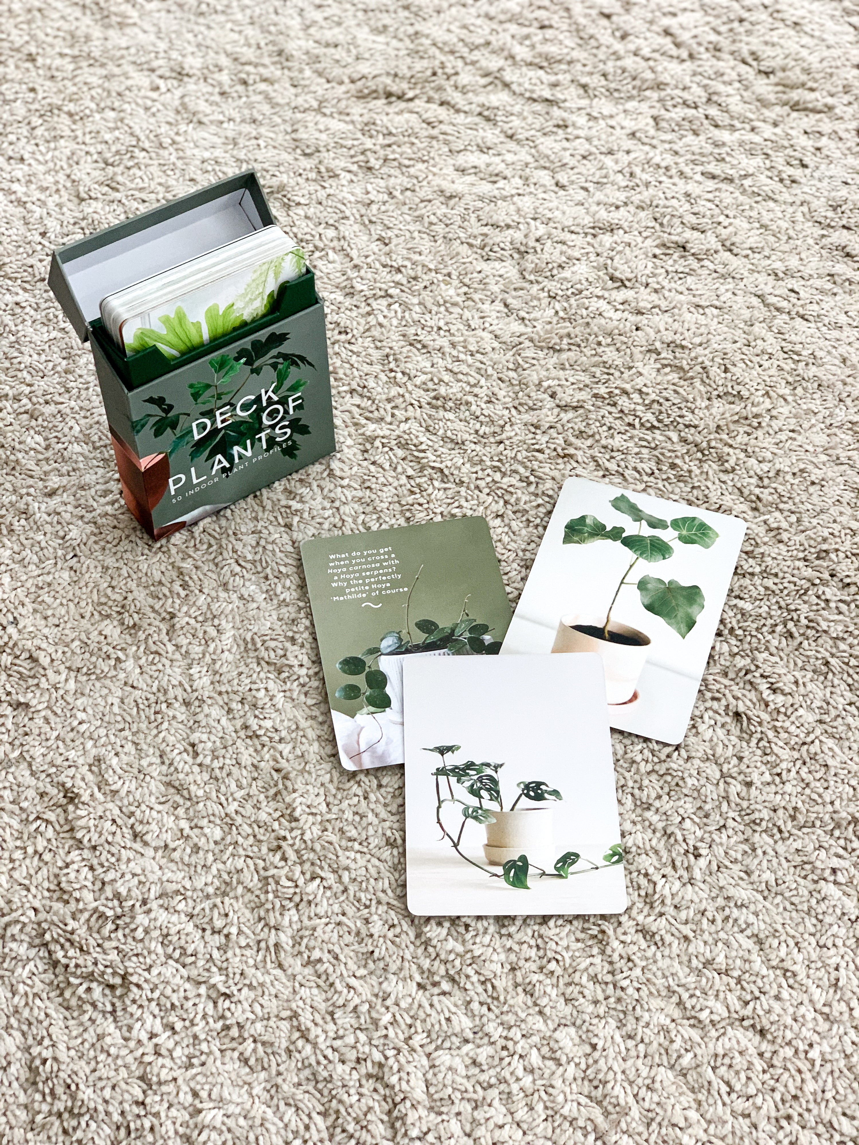 Leaf Supply Deck of Plants: 50 Indoor Plant Profiles