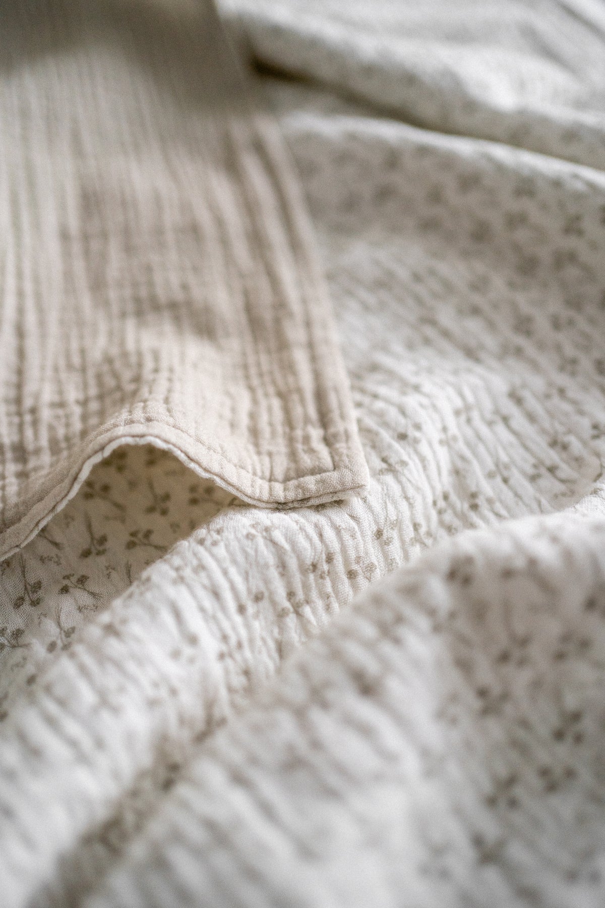 Organic Cotton Blanket | Dandelion